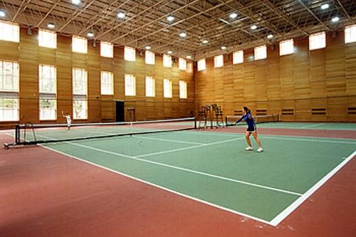 羽毛球場(chǎng)場(chǎng)地面